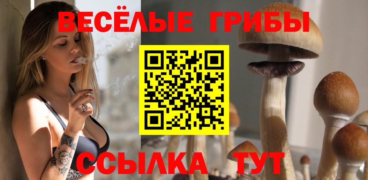 Галлюциногенные грибы прущие грибы  где продают наркотики  Уссурийск  Вход с VPN 